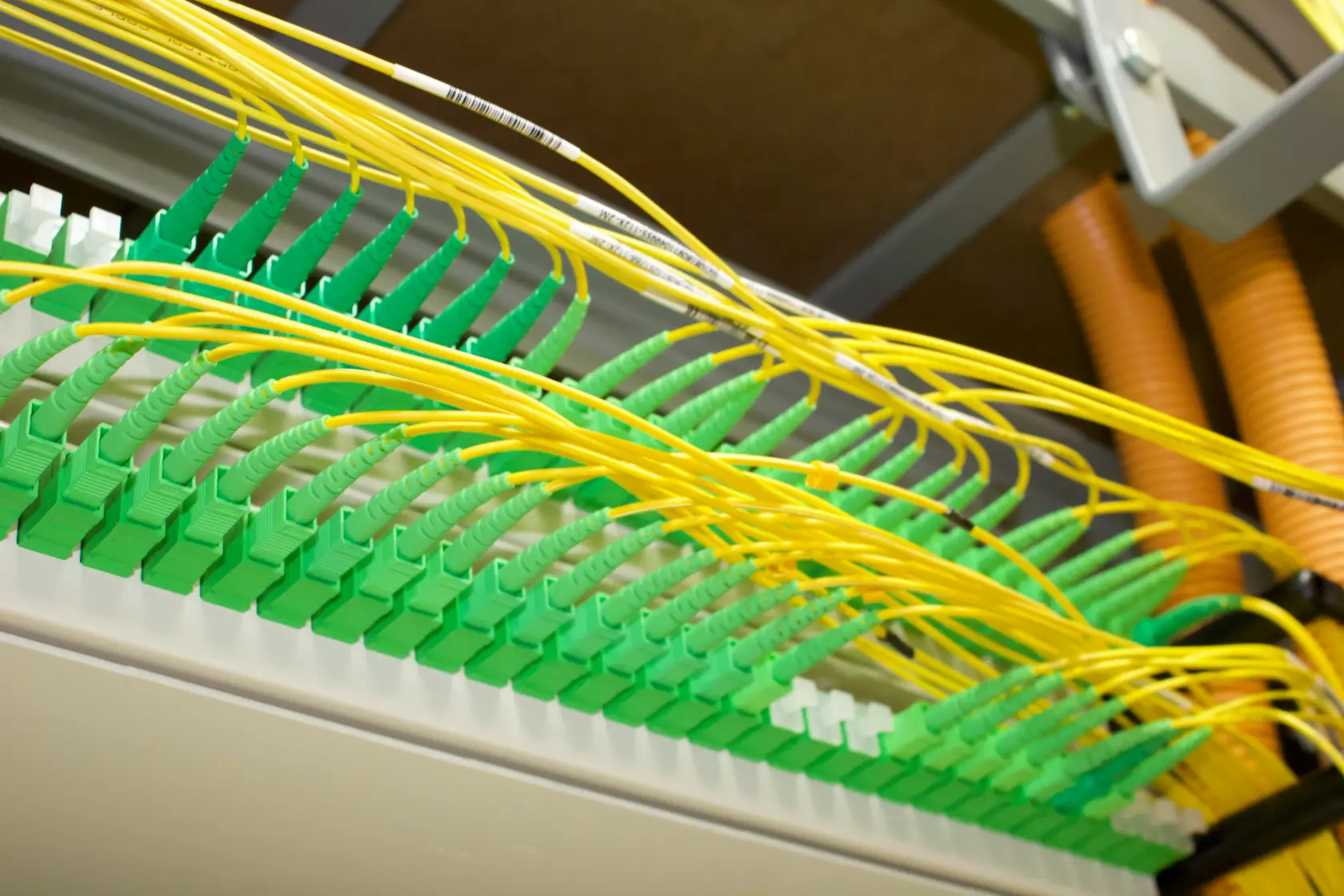 Yellow single-mode fibre patch leads connected to a fibre distribution panel